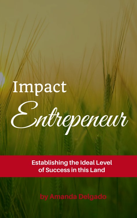 Impact Entrepreneur (Audio Libro)