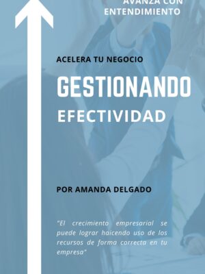 Gestionando Efectividad (Audio Libro)
