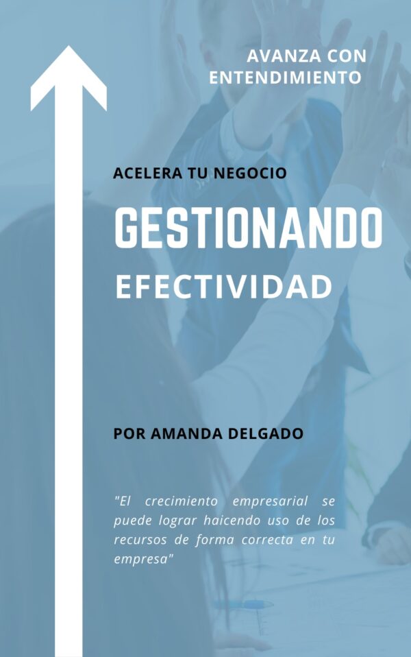 Gestionando Efectividad (Audio Libro)