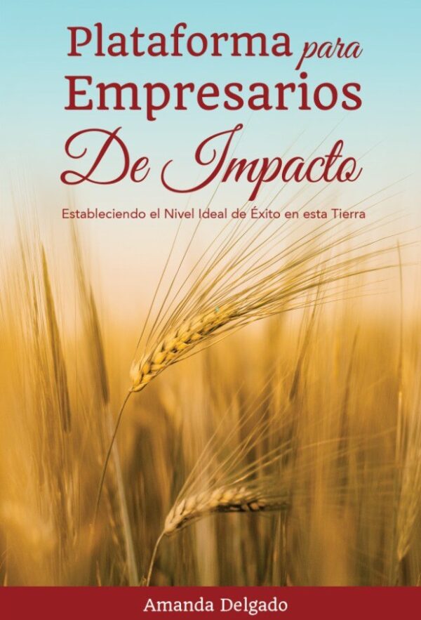 Plataforma para Empresarios de Impacto (Libro en Linea)